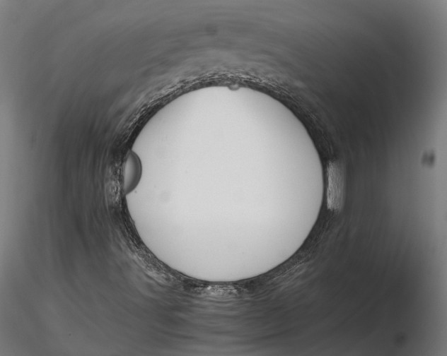 X0000116121491200912141032