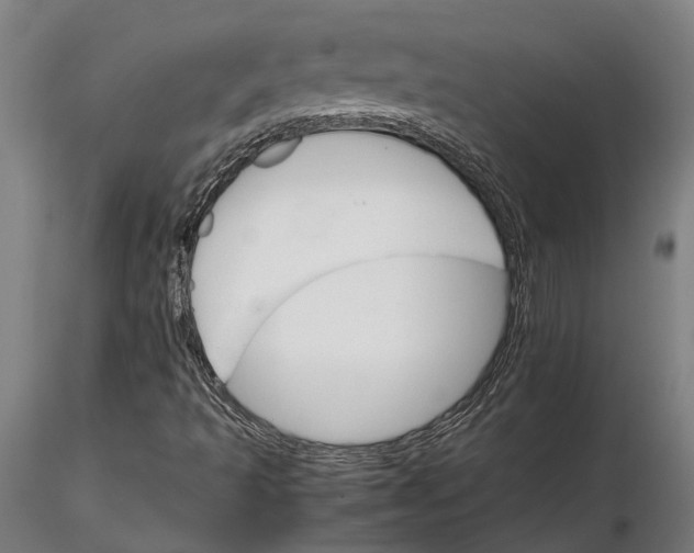 X0000116121493200912141032