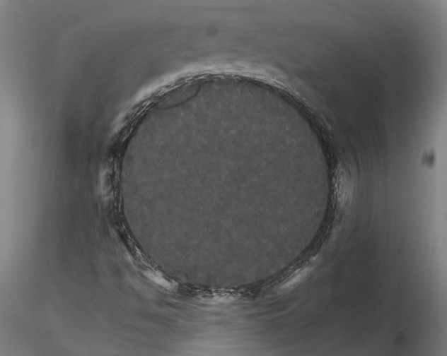 X0000116121494200912141032