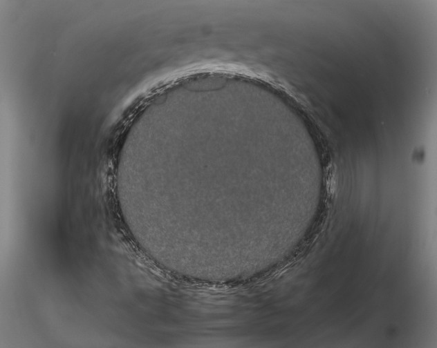 X0000116121495200912141032