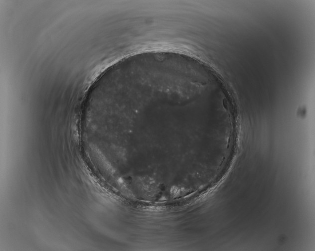 X0000116121497200912141032