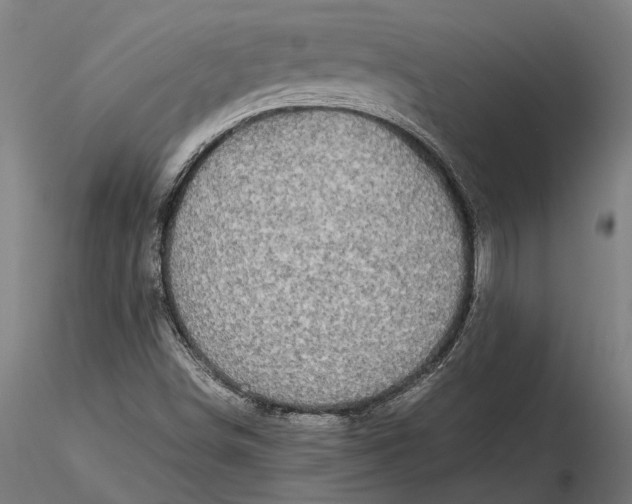 X0000116121498200912141032