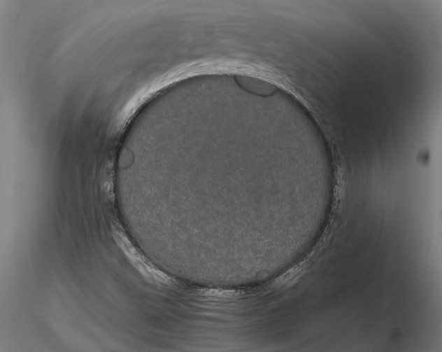 X0000116121499200912141032