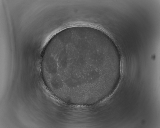 X0000116121501200912141032