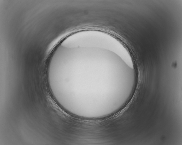 X0000116121502200912141032