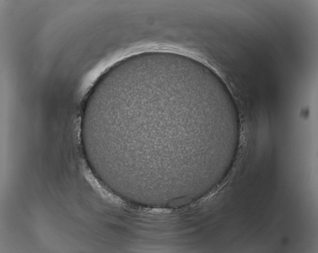 X0000116121503200912141032