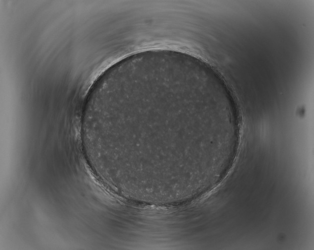 X0000116121505200912141032