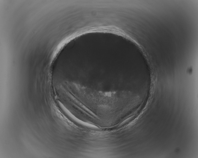 X0000116121506200912141032