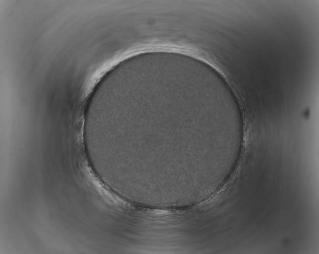 X0000116121507200912141032