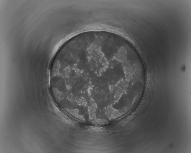 X0000116121509200912141033