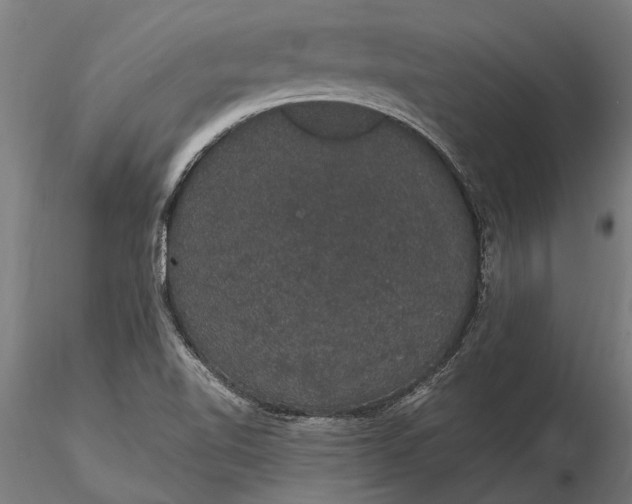 X0000116121510200912141033