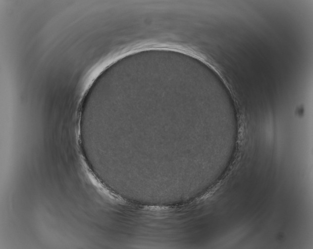 X0000116121511200912141033