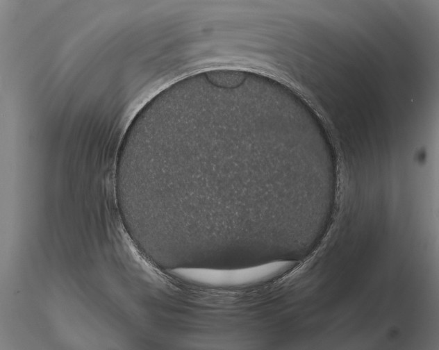 X0000116121513200912141033