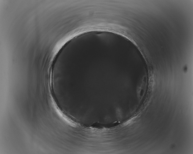 X0000116121515200912141033