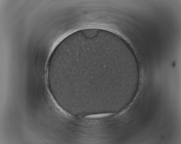 X0000116121517200912141033