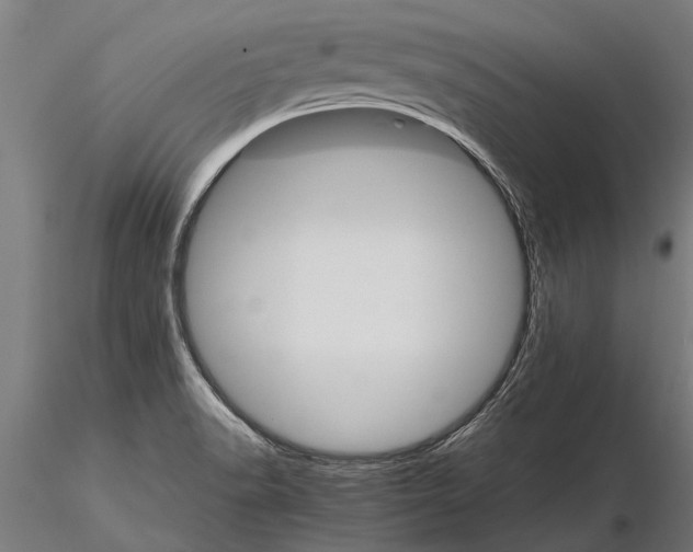 X0000116121518200912141033