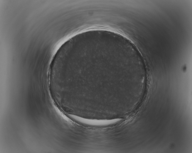 X0000116121519200912141033