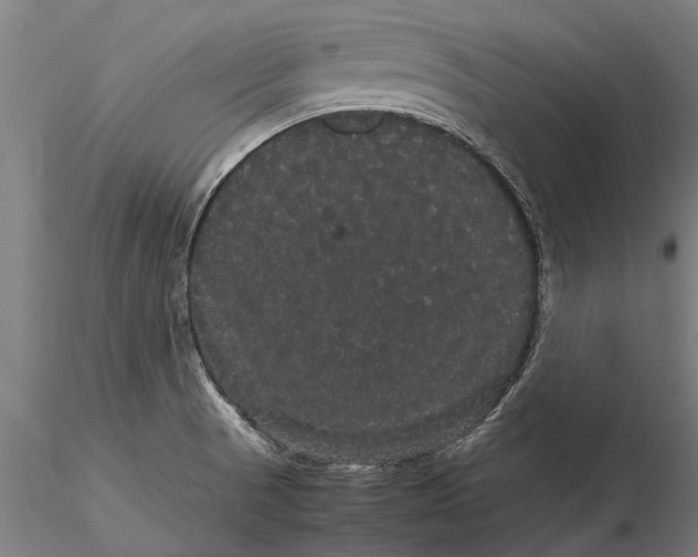 X0000116121521200912141033