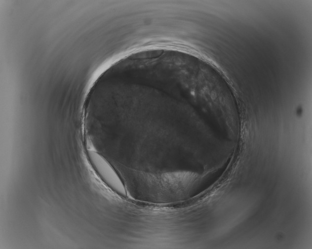 X0000116121522200912141033