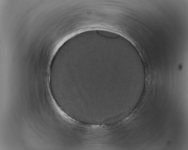 X0000116121523200912141033