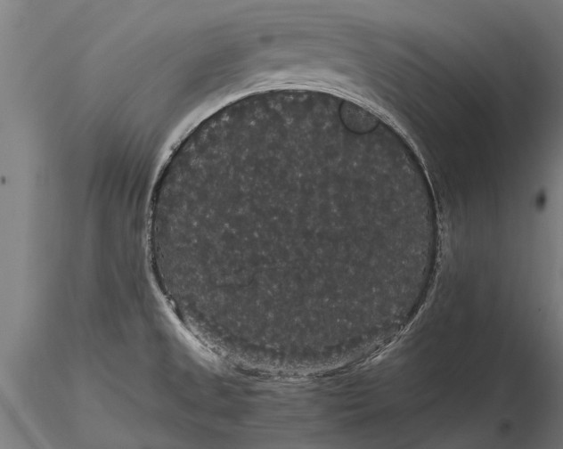 X0000116121525200912141033