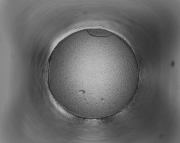 X0000116121526200912141033