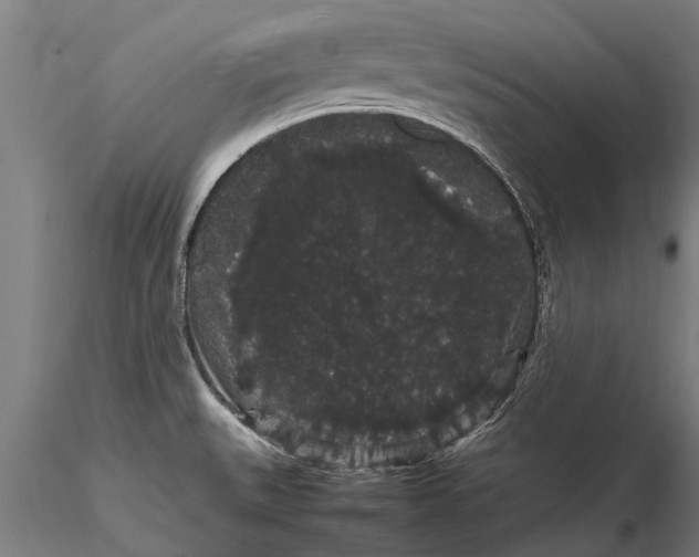 X0000116121527200912141033