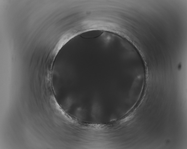 X0000116121529200912141033