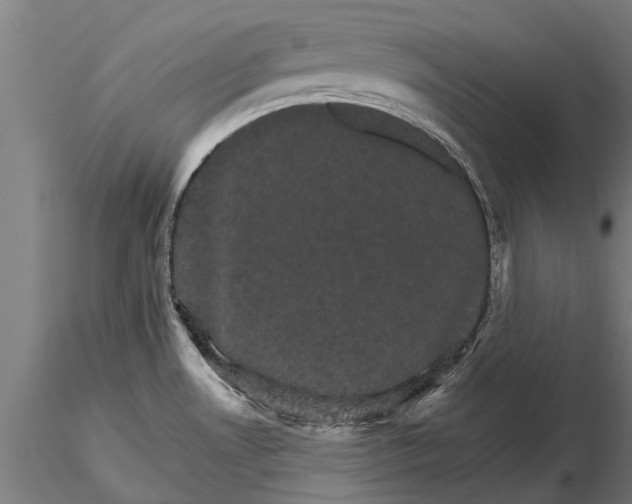 X0000116121530200912141033