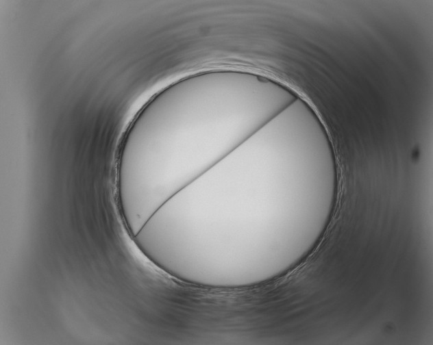 X0000116121531200912141033