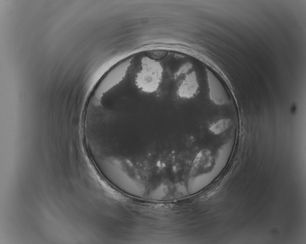 X0000116121533200912141033