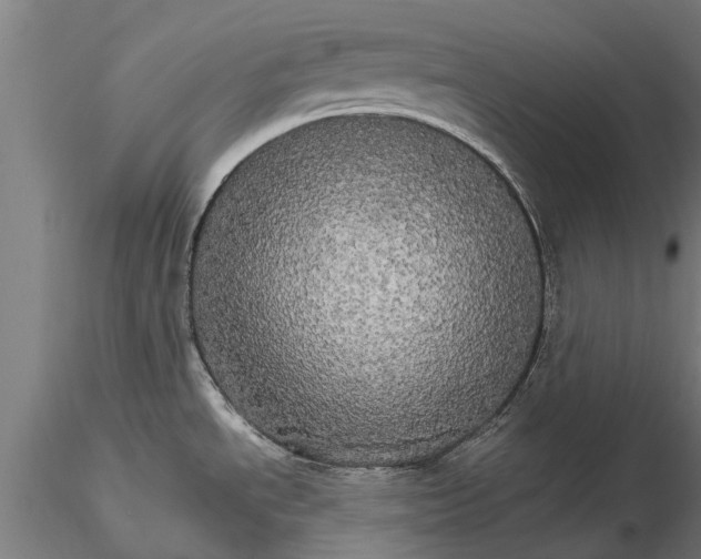 X0000116121534200912141033