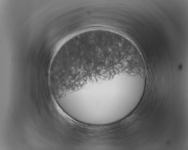 X0000116121535200912141033