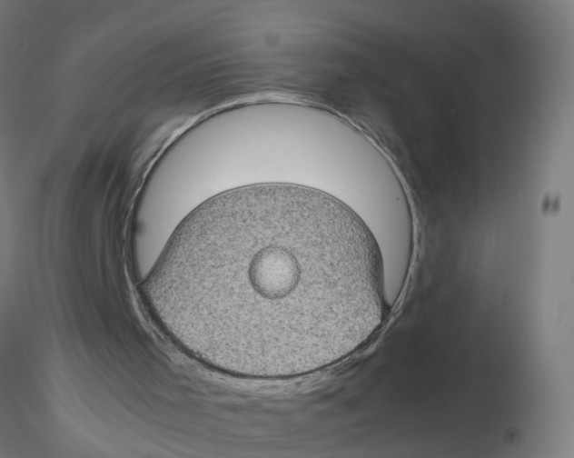 X0000116120001200912211703
