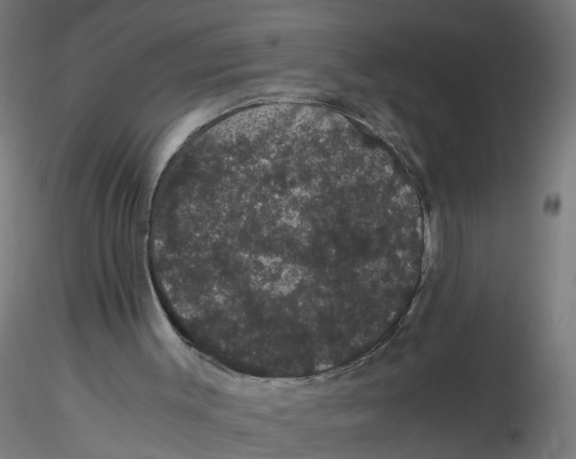 X0000116120003200912211703