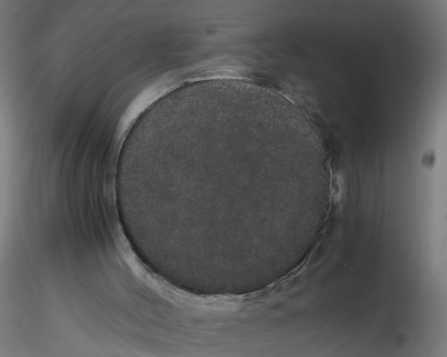 X0000116120004200912211703