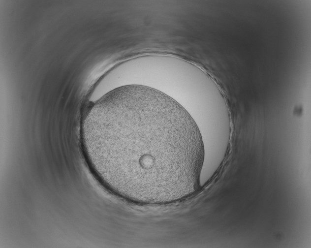 X0000116120005200912211703