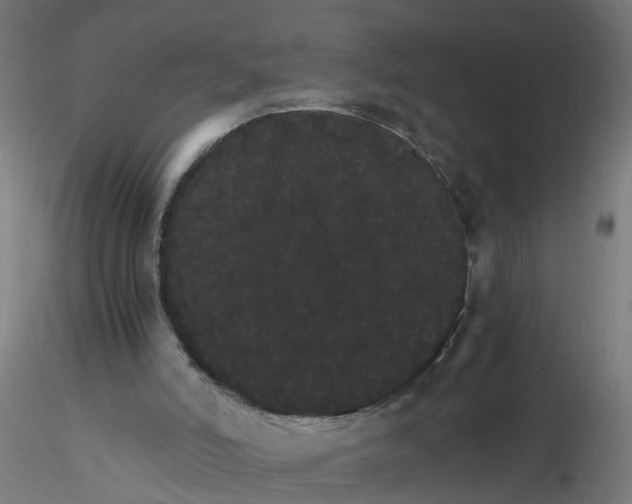 X0000116120006200912211703
