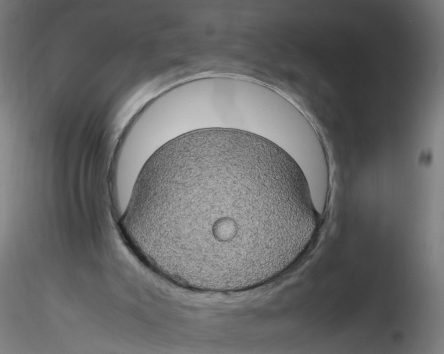 X0000116120007200912211703