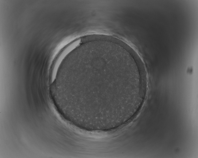 X0000116120008200912211703