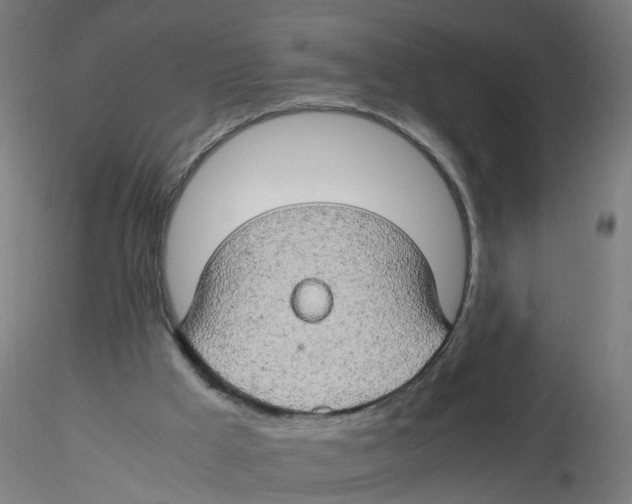 X0000116120009200912211703