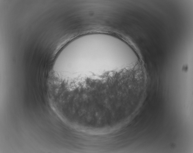 X0000116120010200912211703