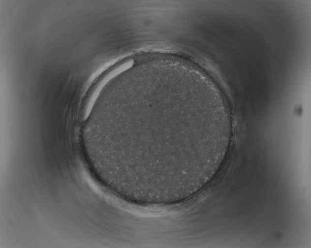 X0000116120012200912211703