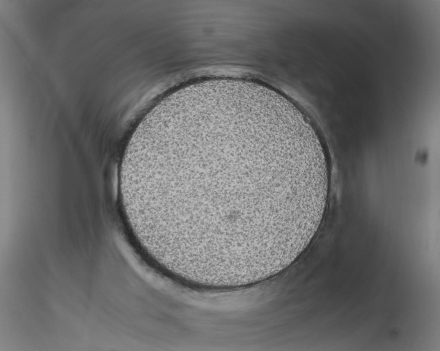 X0000116120013200912211703