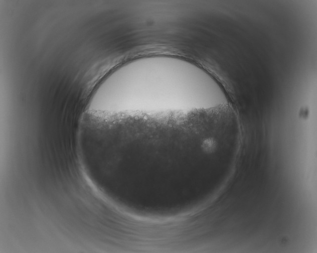 X0000116120014200912211703