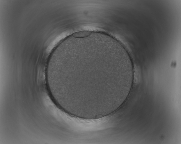 X0000116120015200912211703