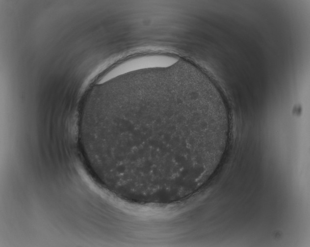 X0000116120016200912211703