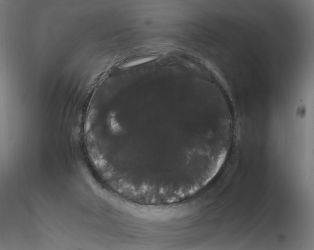 X0000116120018200912211703