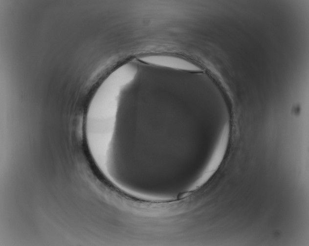 X0000116120019200912211703