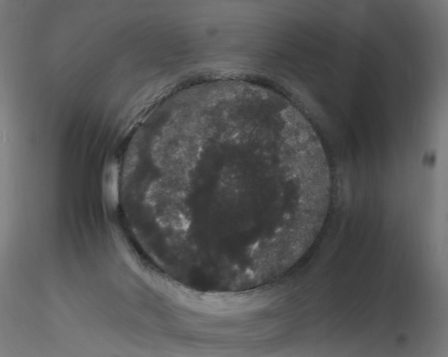 X0000116120022200912211703